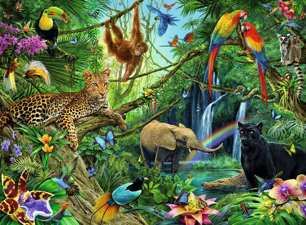 Bild zu Tiere im Dschungel